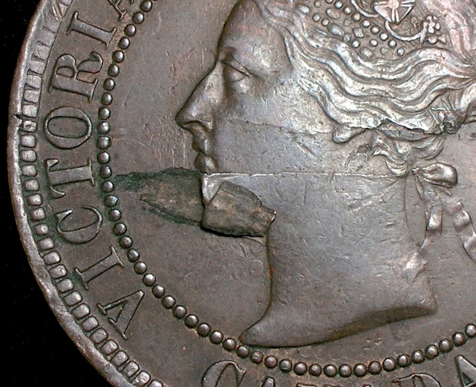 1859-Provincial-Cent-With-Retained-Wood-Or-Fiber-Fragment?
